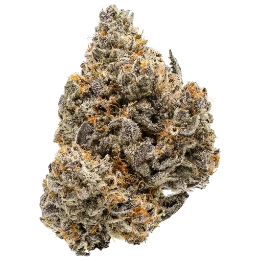 Tahitian Lime - Native Humboldt Farms