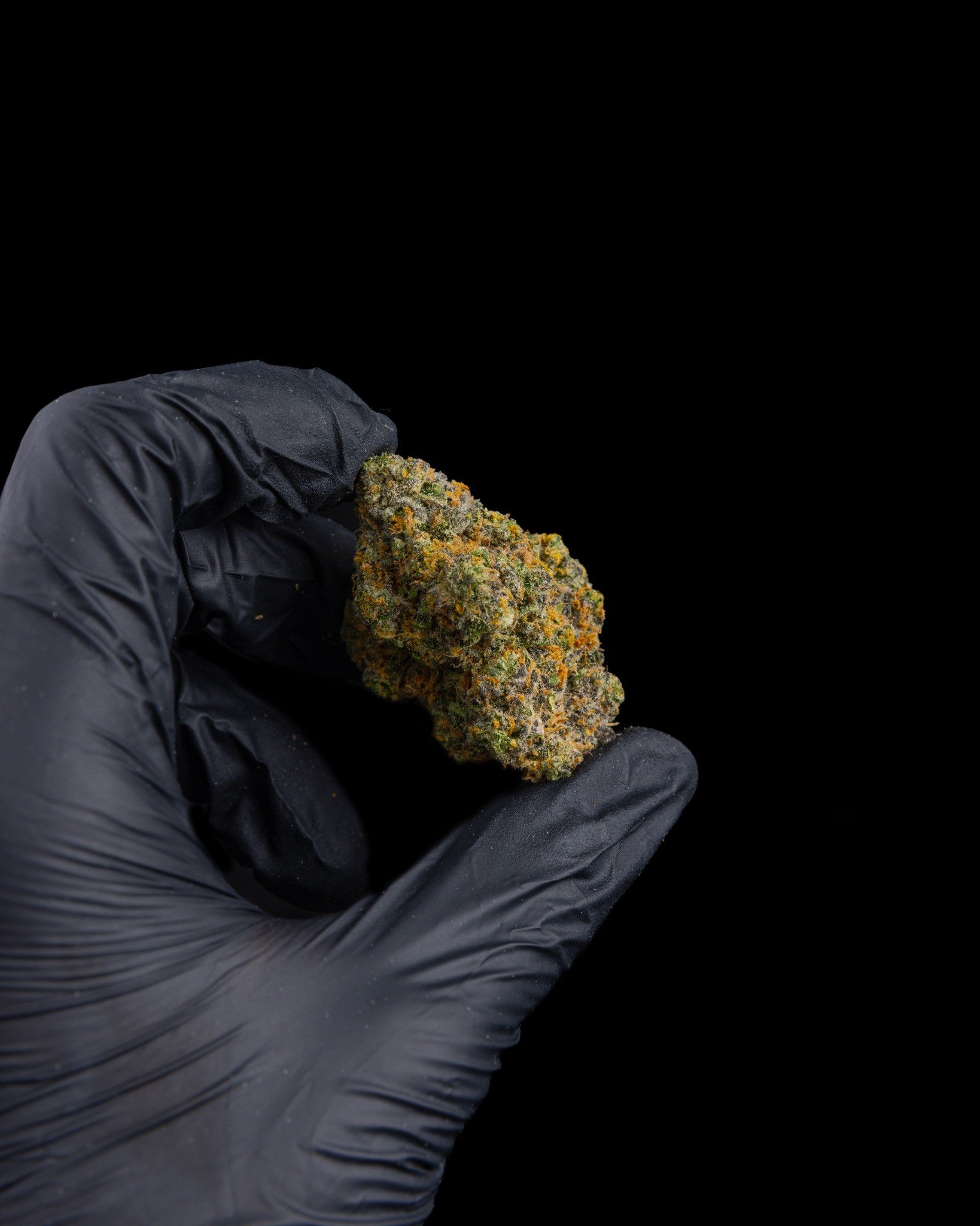 Hand wearing a black glove holding a clump of cannabis buds against a black background