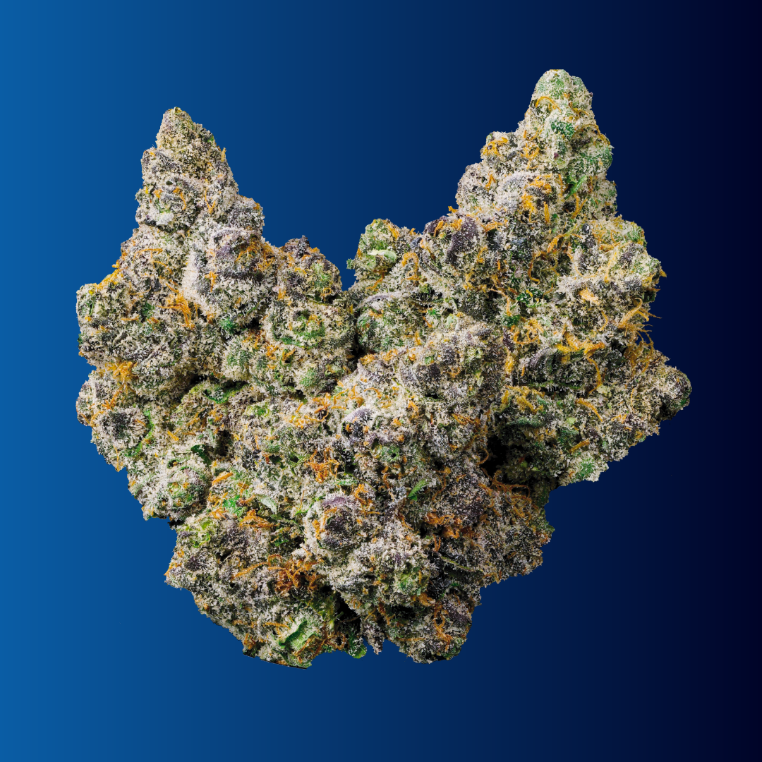 Obama Runtz - Indoor Flower